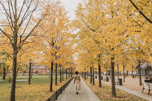 person walking in a park